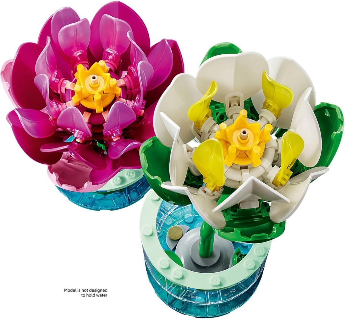 11511 Botanicals Lilie wodne