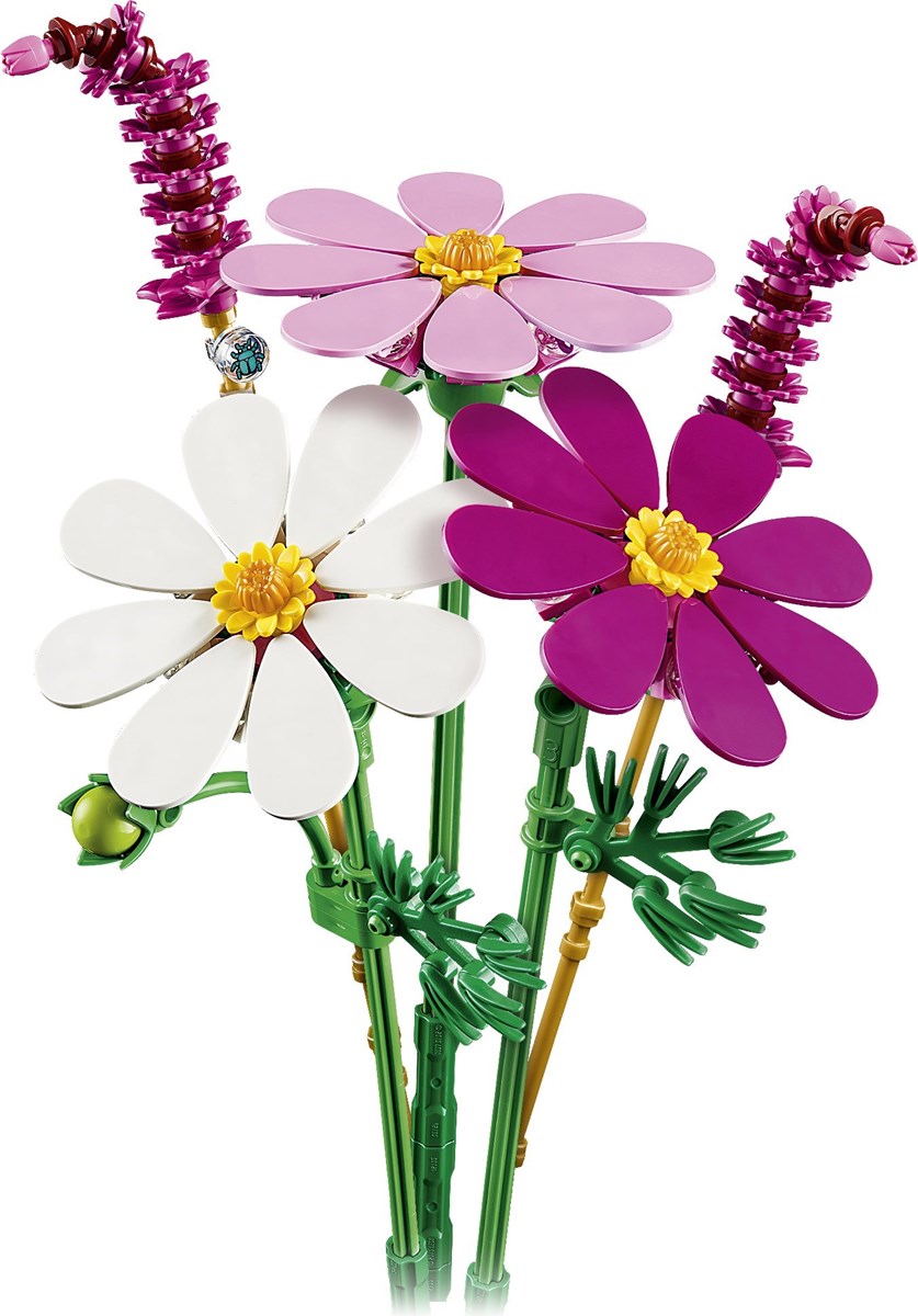 11514 Botanicals Kosmosy
