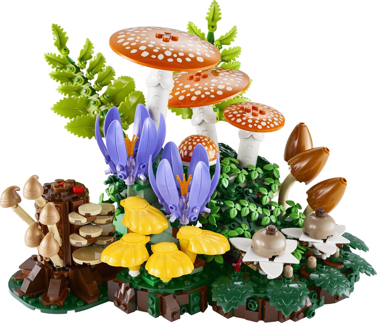 11505 Botanicals Grzyby leśne