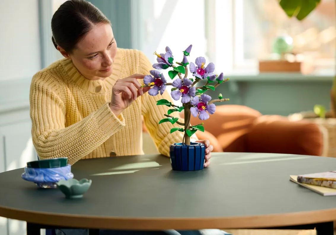 10372 Botanicals Hibiskus