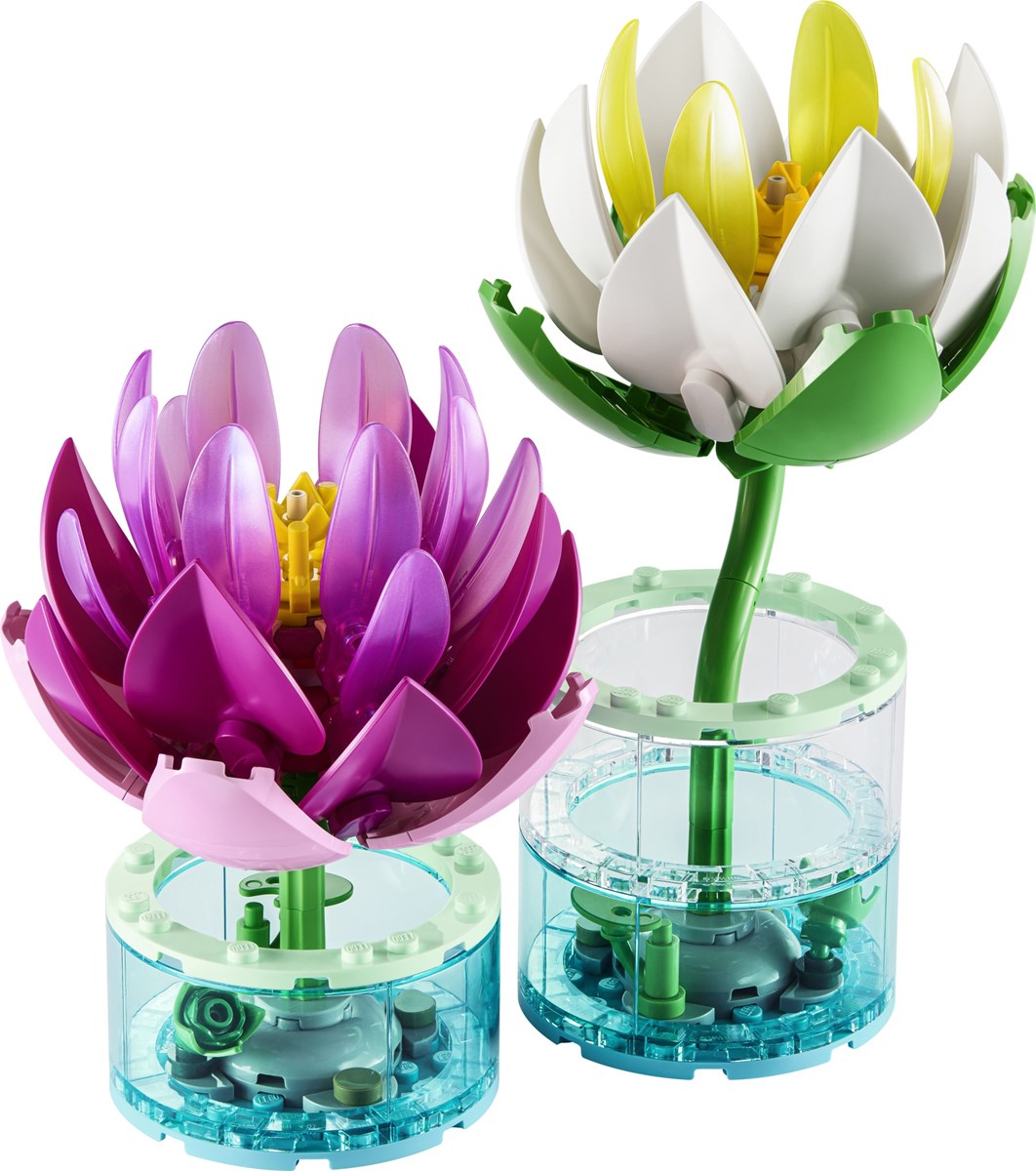 11511 Botanicals Lilie wodne