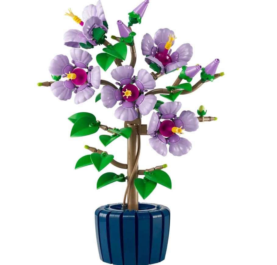 10372 Botanicals Hibiskus