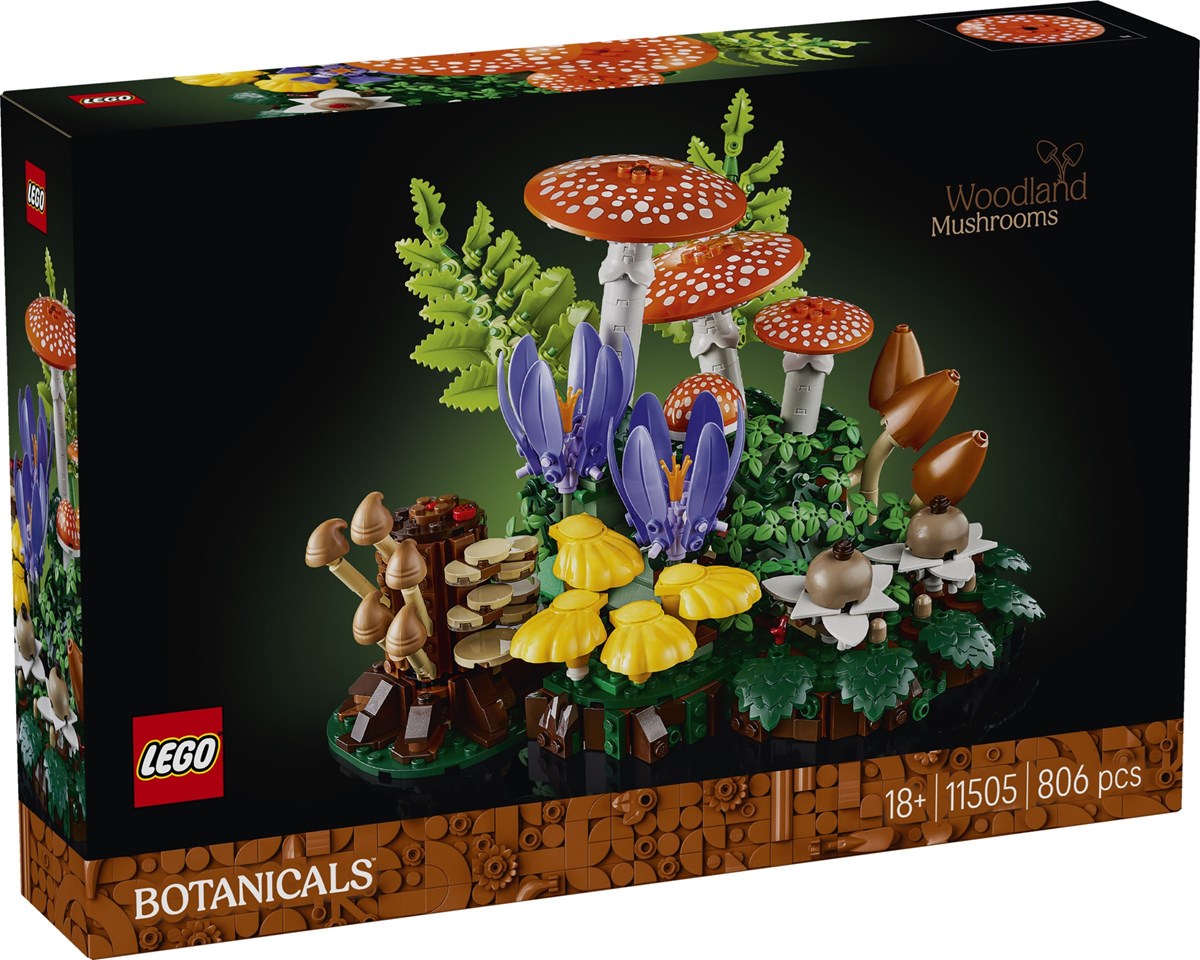 11505 Botanicals Grzyby leśne