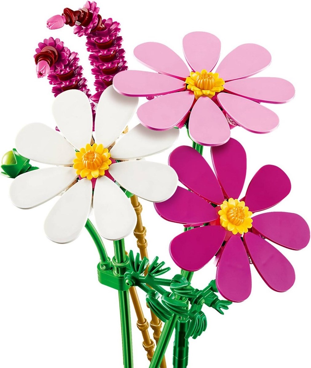 11514 Botanicals Kosmosy
