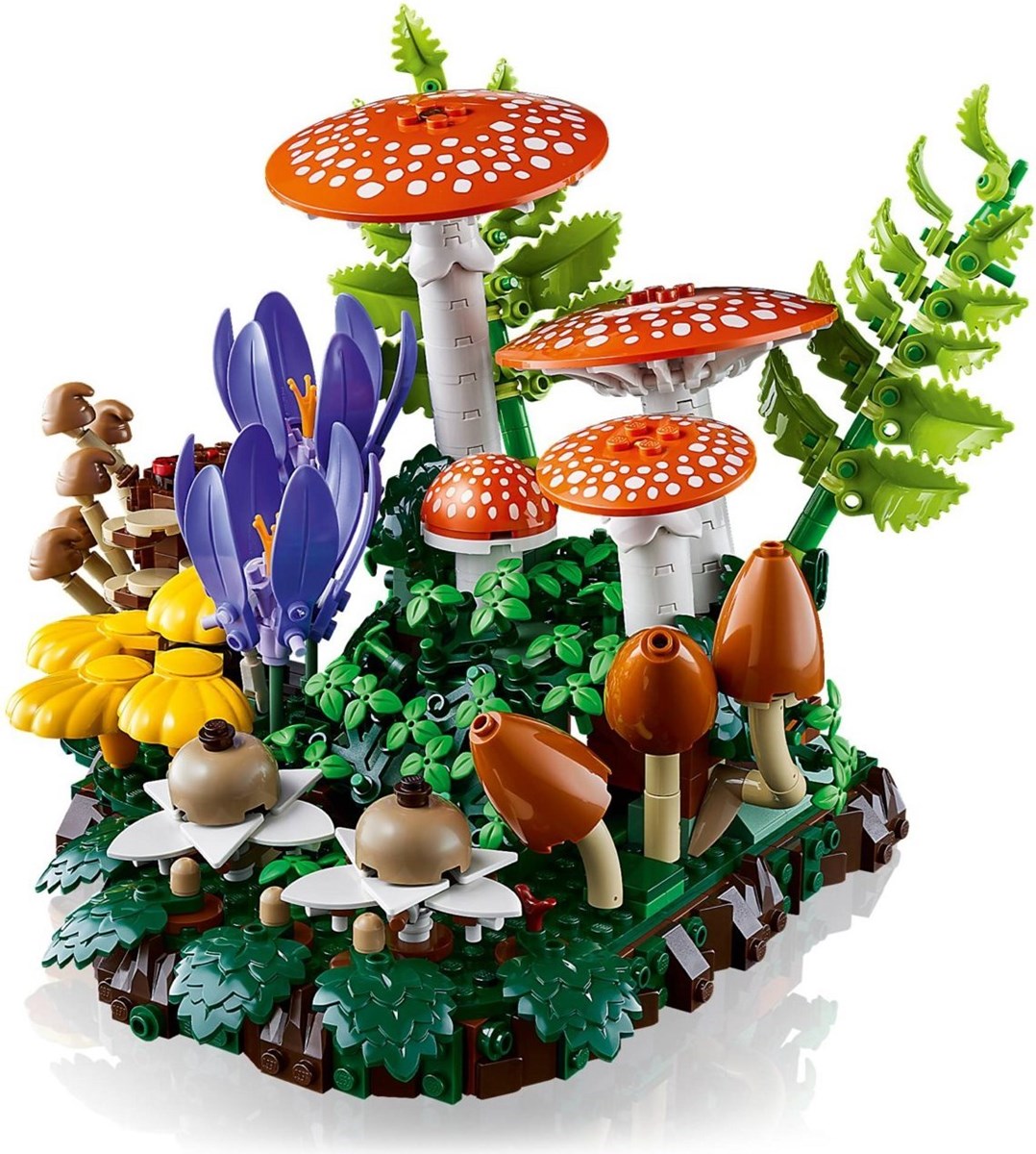 11505 Botanicals Grzyby leśne