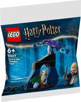 30677 Harry Potter Draco w Zakazanym Lesie - folia