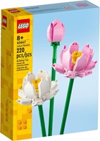 40647 Icons Kwiaty lotosu