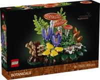 11505 Botanicals Grzyby leśne
