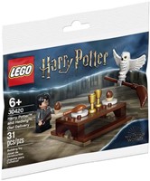 30420 Harry Potter i Hadwiga folia